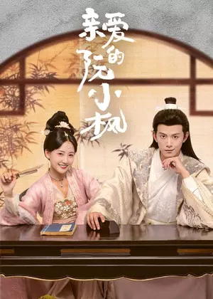 亲爱的阮小枫电视剧