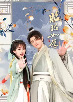 昭昭如愿电视剧