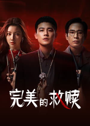 完美的救赎电视剧