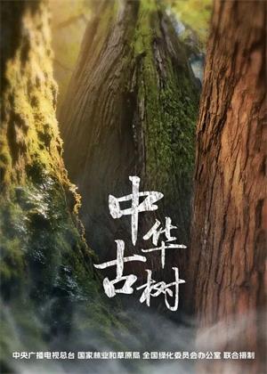 中华古树（2025）