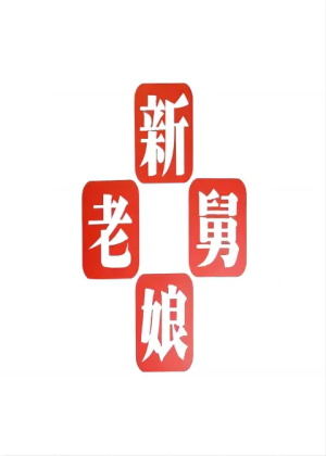 新老娘舅（2025）