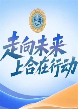 走向未来上合在行动（2025）