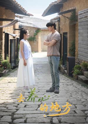 去养心的地方电视剧