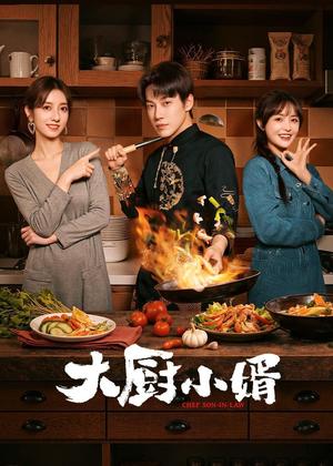 大厨小婿电视剧