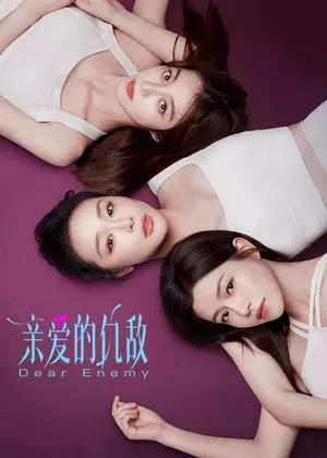 亲爱的仇敌电视剧