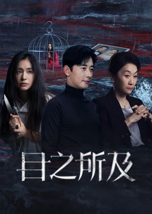 目之所及电视剧