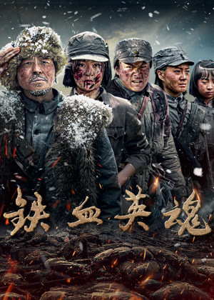 铁血英魂电视剧