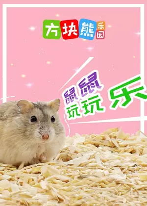方块熊鼠仔玩玩乐动漫