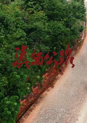 滇缅公路电视剧