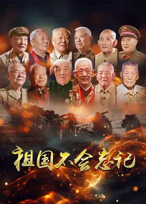 祖国不会忘记（2025）