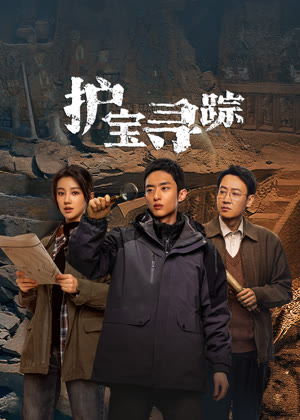护宝寻踪电视剧
