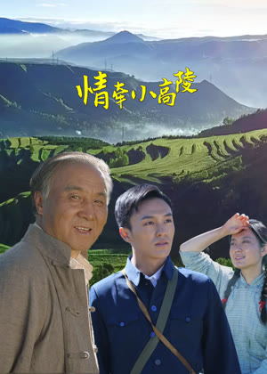 情牵小高陵电影