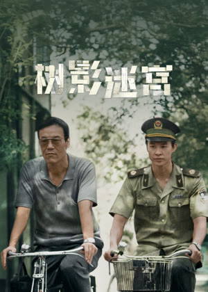 树影迷宫电视剧