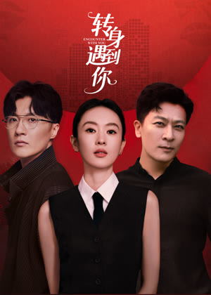 转身遇到你电视剧