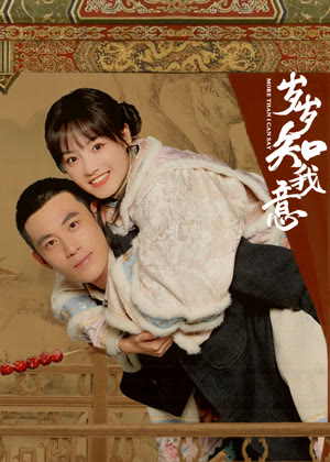 岁岁知我意电视剧