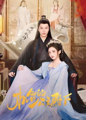 机智的公主殿下电视剧