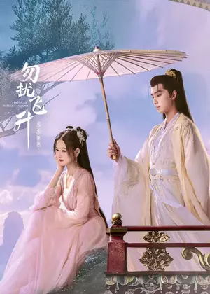 勿扰飞升电视剧