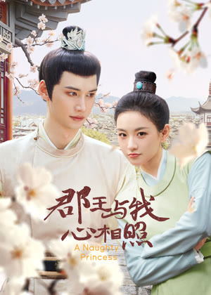 郡王与我心相照电视剧