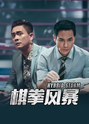 棋拳风暴（粤语）电影