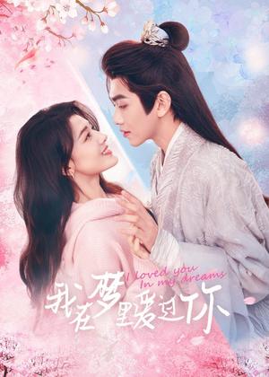我在梦里爱过你电视剧