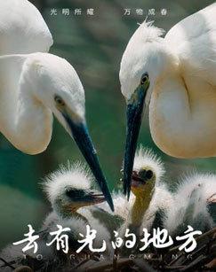 去有光的地方（2025）