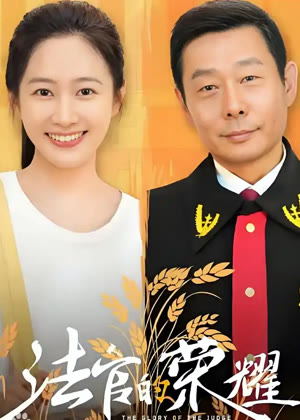 法官的荣耀电视剧