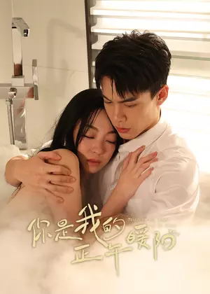 你是我的正午暖阳电视剧