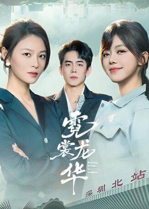 霓裳龙华电视剧