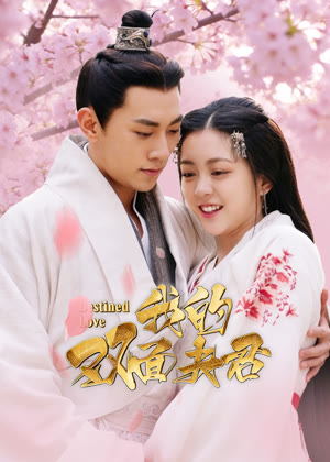 我的双面夫君电视剧