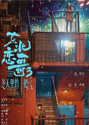 东北恋歌：冬天里的一把火电影