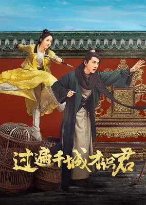 过遍千城才识君电视剧