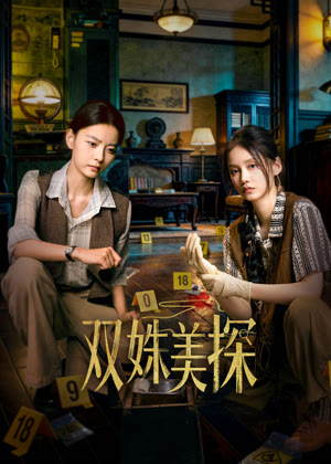 双姝美探电视剧