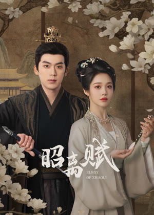 昭离赋电视剧