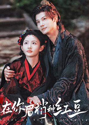 在你眉梢种红豆电视剧