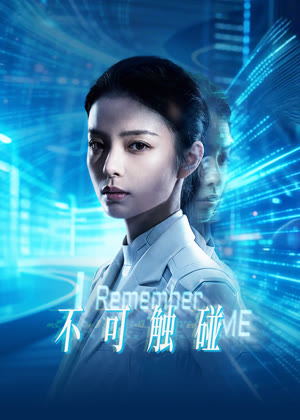 不可触碰电影