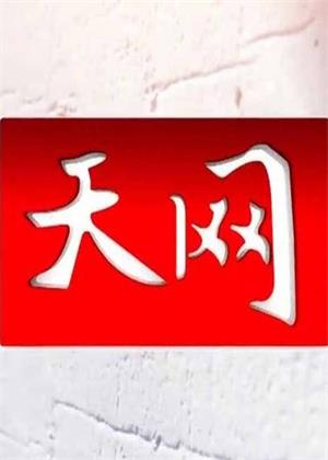 天网（2026）