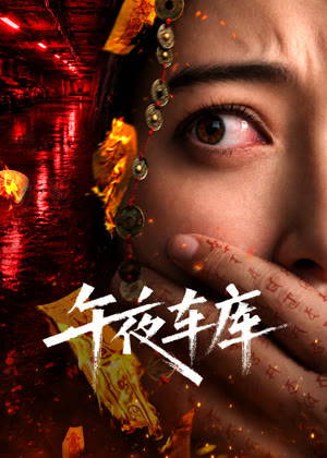 午夜车库电影
