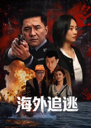 海外追逃电影