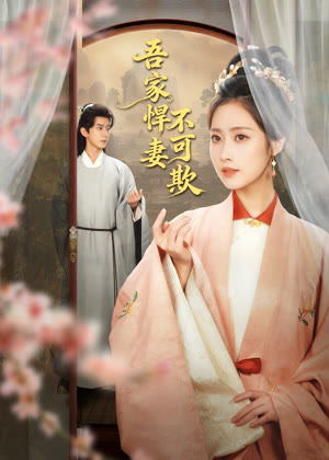 吾家悍妻不可欺电视剧