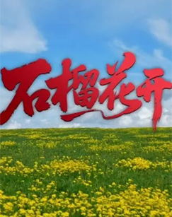 石榴花开（2026）