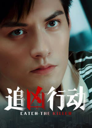 追凶行动电影