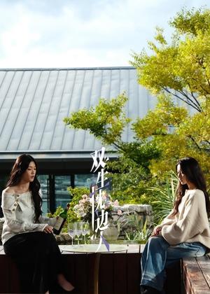 双生枕边人电视剧