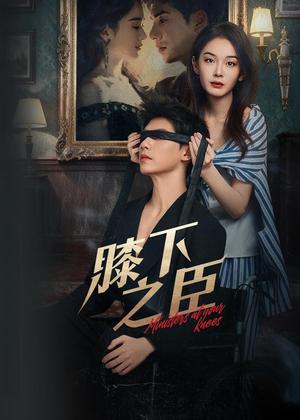 膝下之臣电视剧