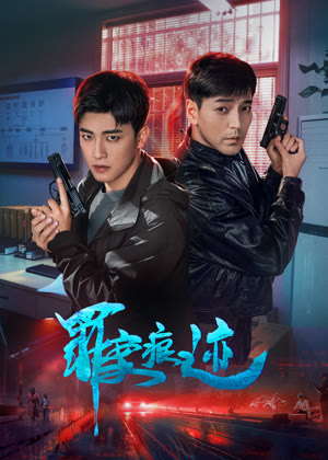 罪案痕迹电视剧