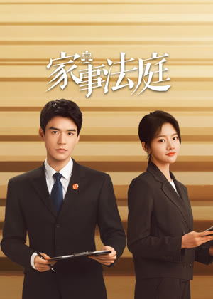 家事法庭电视剧