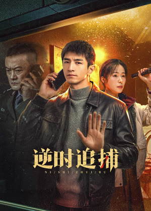 逆时追捕电视剧