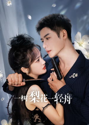 一树梨花一轻舟电视剧