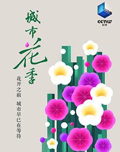 城市花季