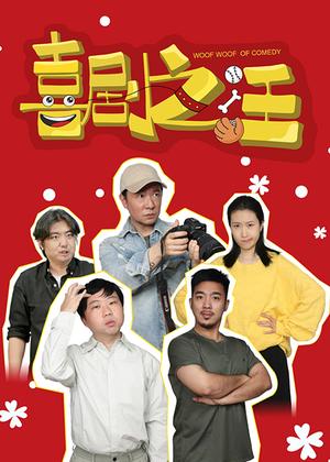 喜剧之汪电视剧