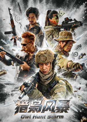 猎枭风暴电影